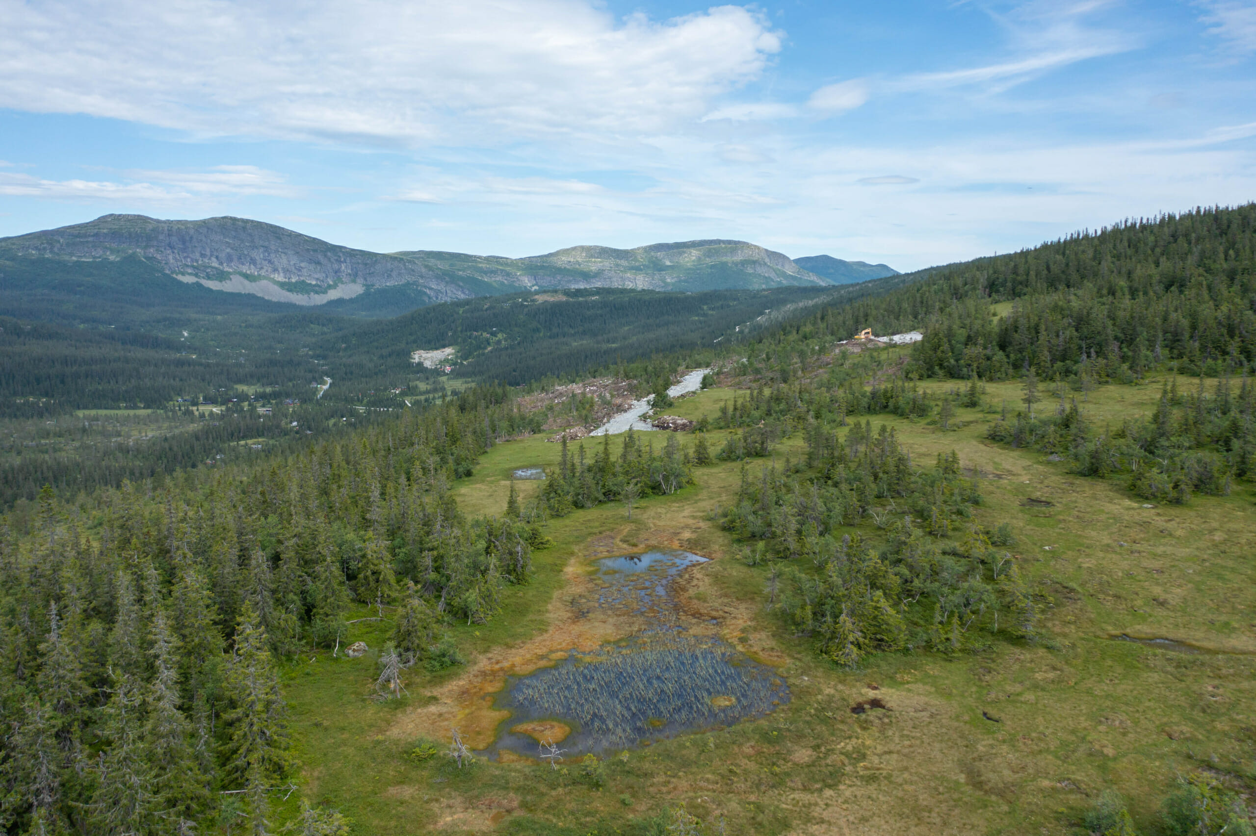 Dronefoto fjellandskap sommer. Foto.